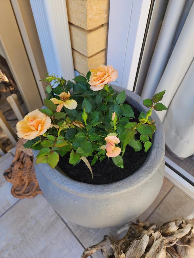 Schnehage Self Catering Apartamento Bloemfontein Exterior foto